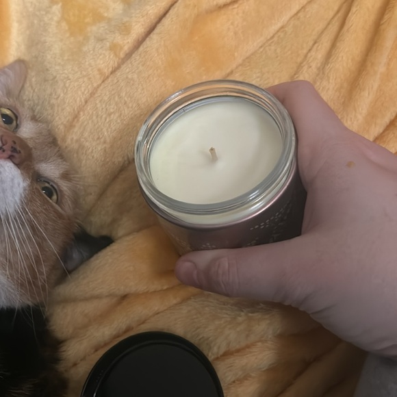 Peach Bellini Bath and Body Works Candle - Picture 2 of 3